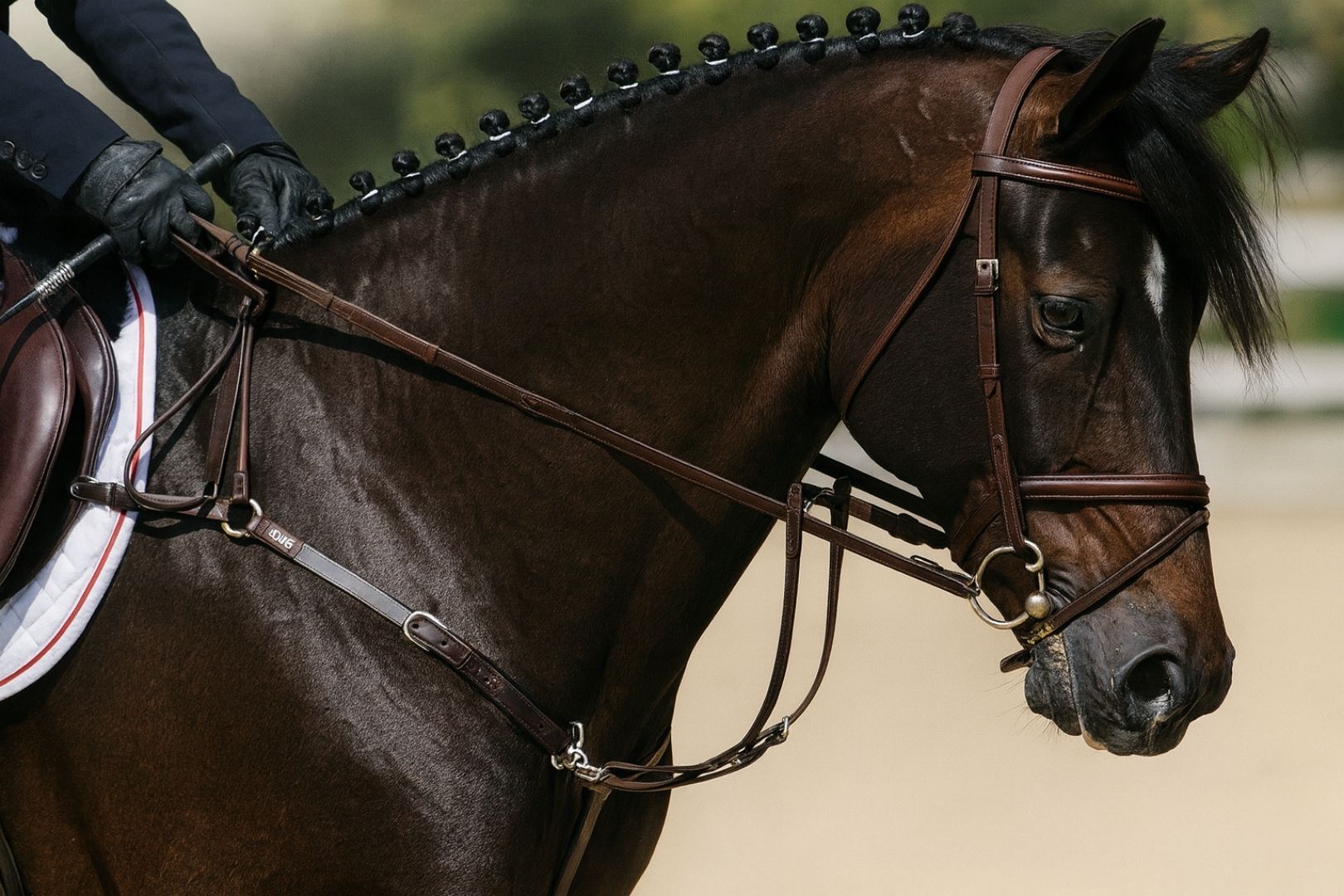 Horse braiding services